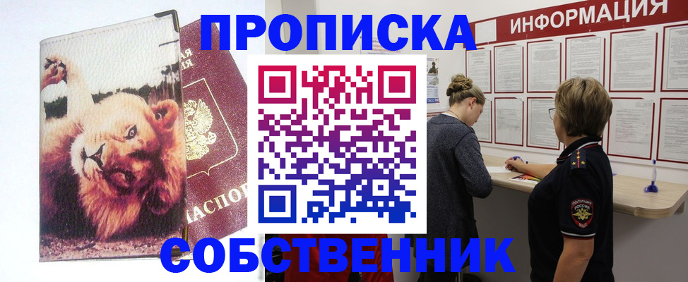 временная регистрация 2025 в Кингисеппе
